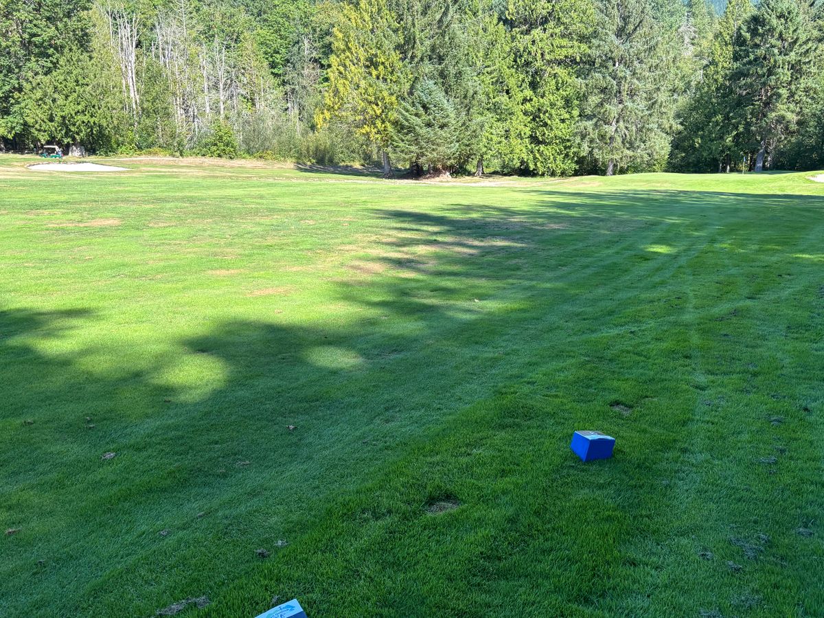 Hole 9 blue tee pad.  Basket is behind the center group of trees, to the left of the green.