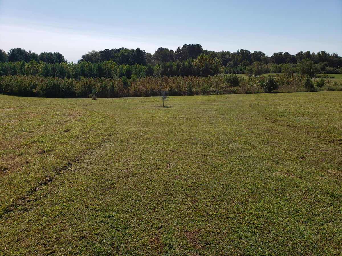Hole 3 Basket.