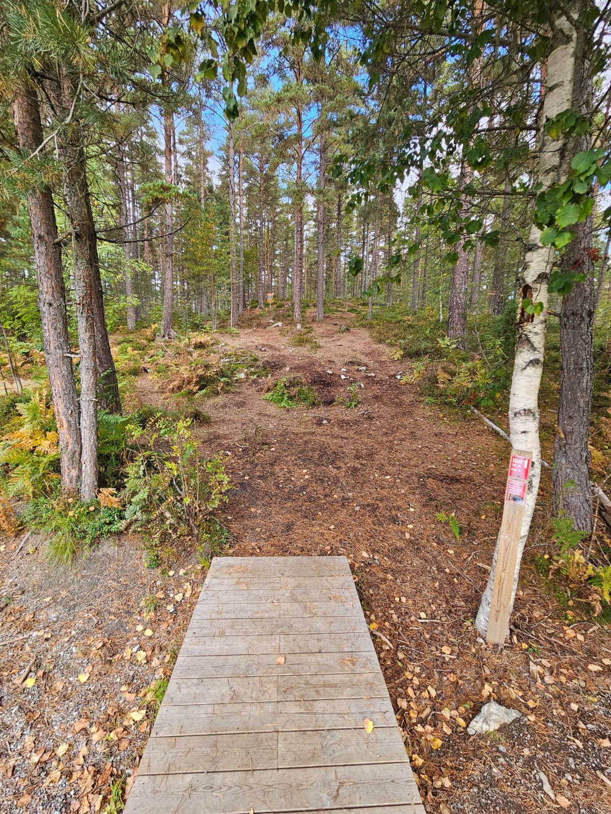 Tee pad 1.