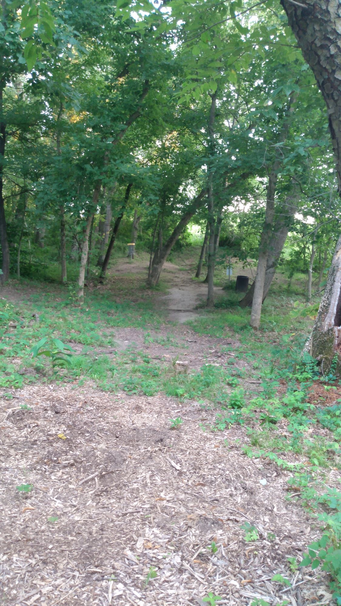 Looking at the #4 basket and tee for 5 (sign on right).