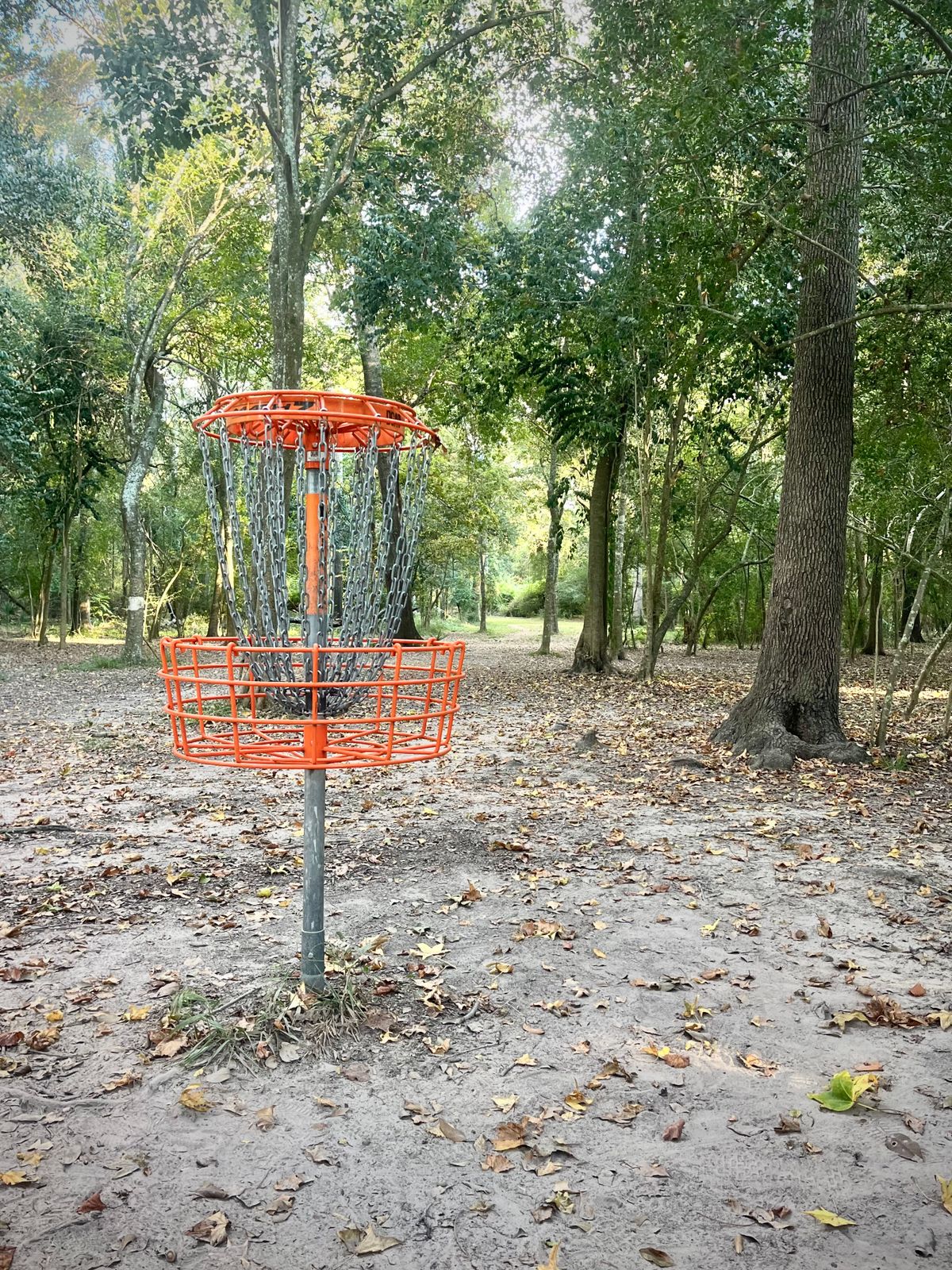 Hole 10