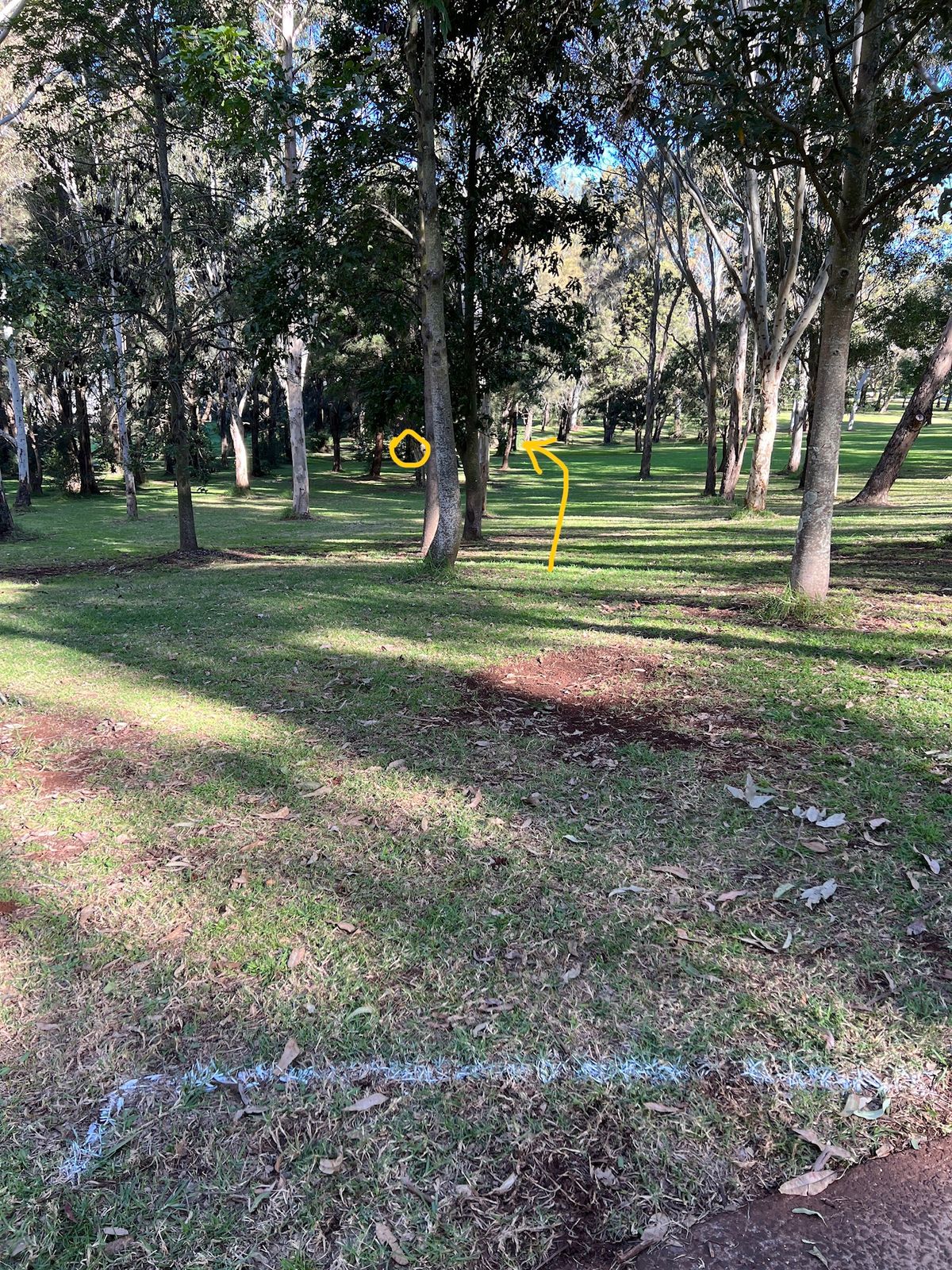 Alt 7 hole 16