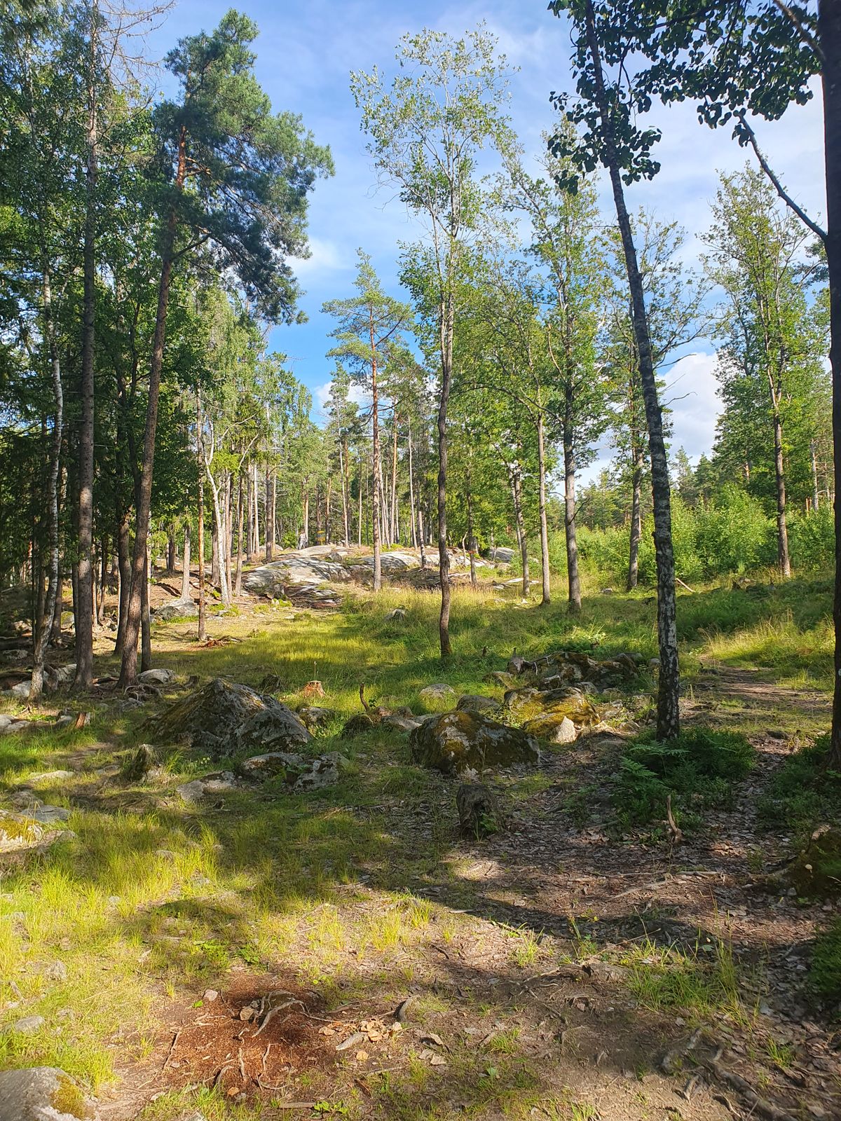 Fairway hål 14