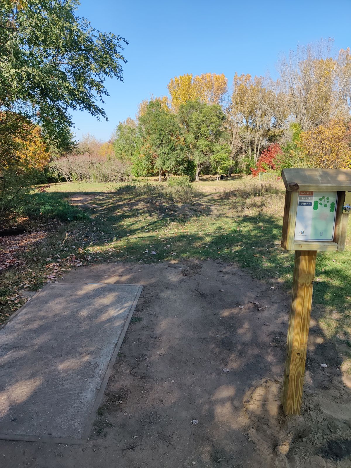 6 Tee