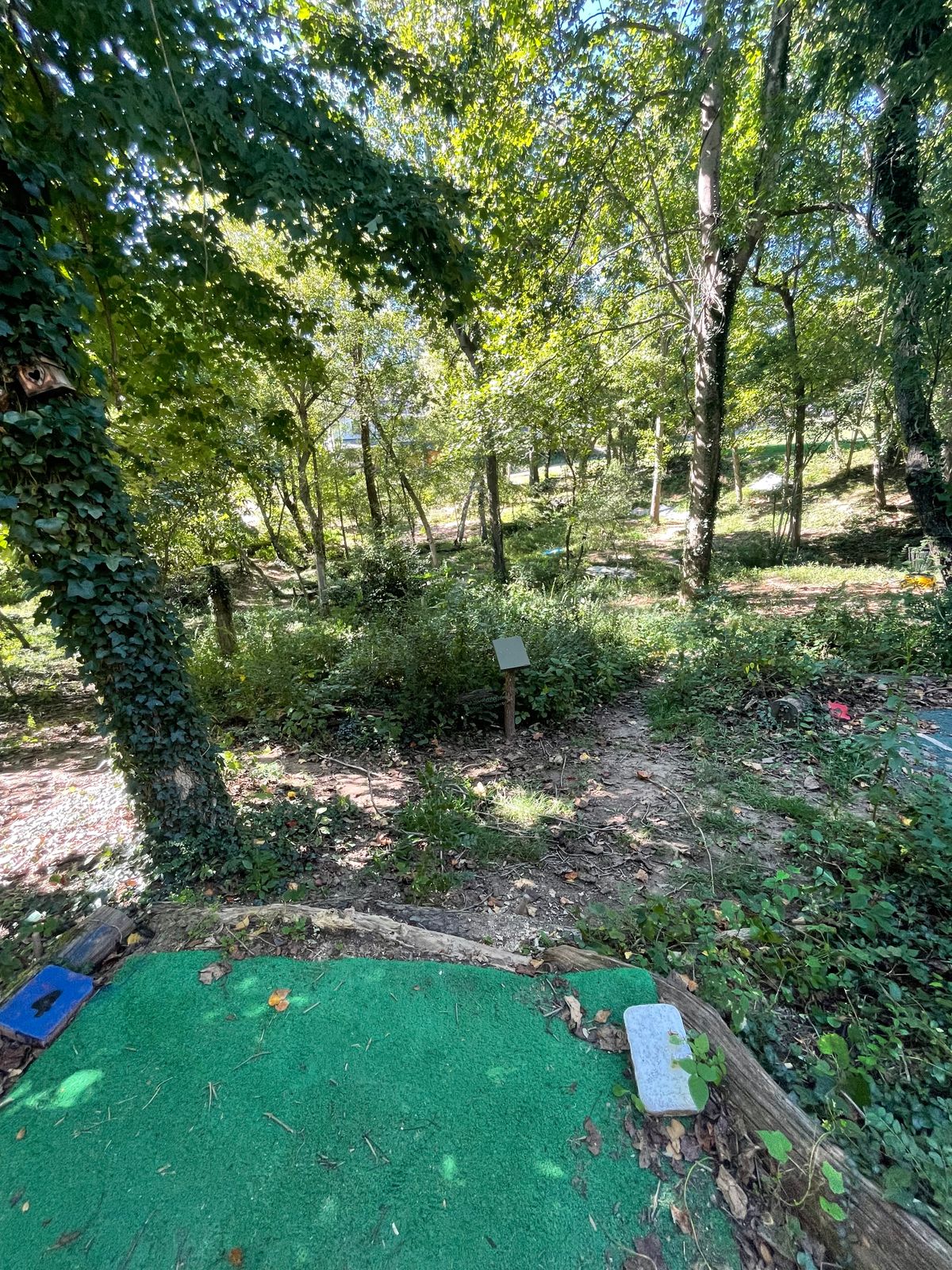 Hole 4 from the white/blue tee pad