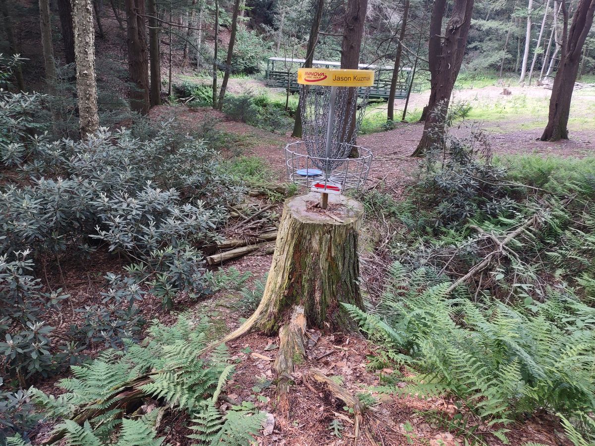 #1 basket.  Big hole about 12' deep behind it