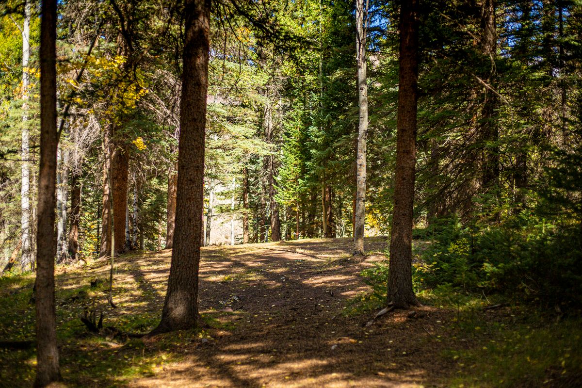 Hole 16 tee with basket in B position