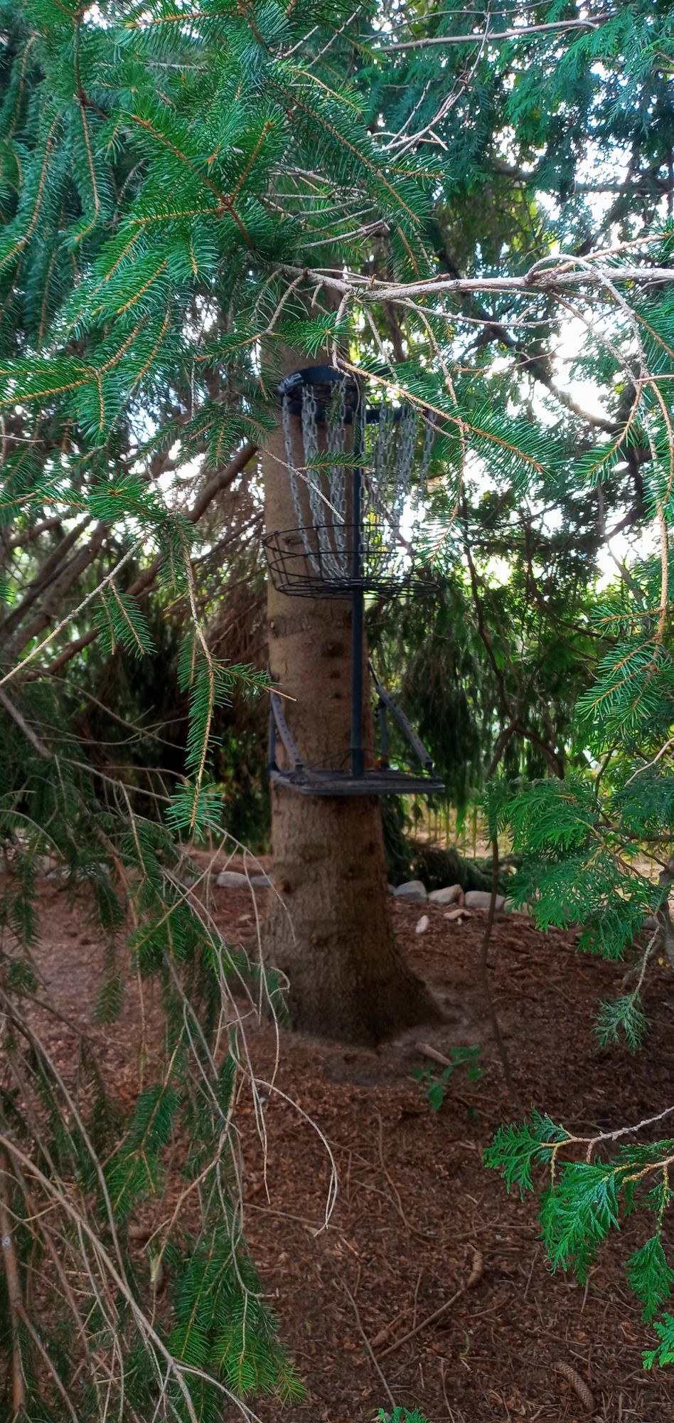 Hole 15