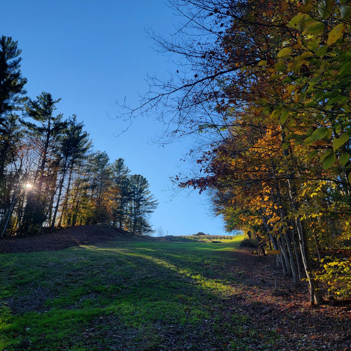 From below the basket on 1, looking up towards teebox 
(left size of photo out of view)