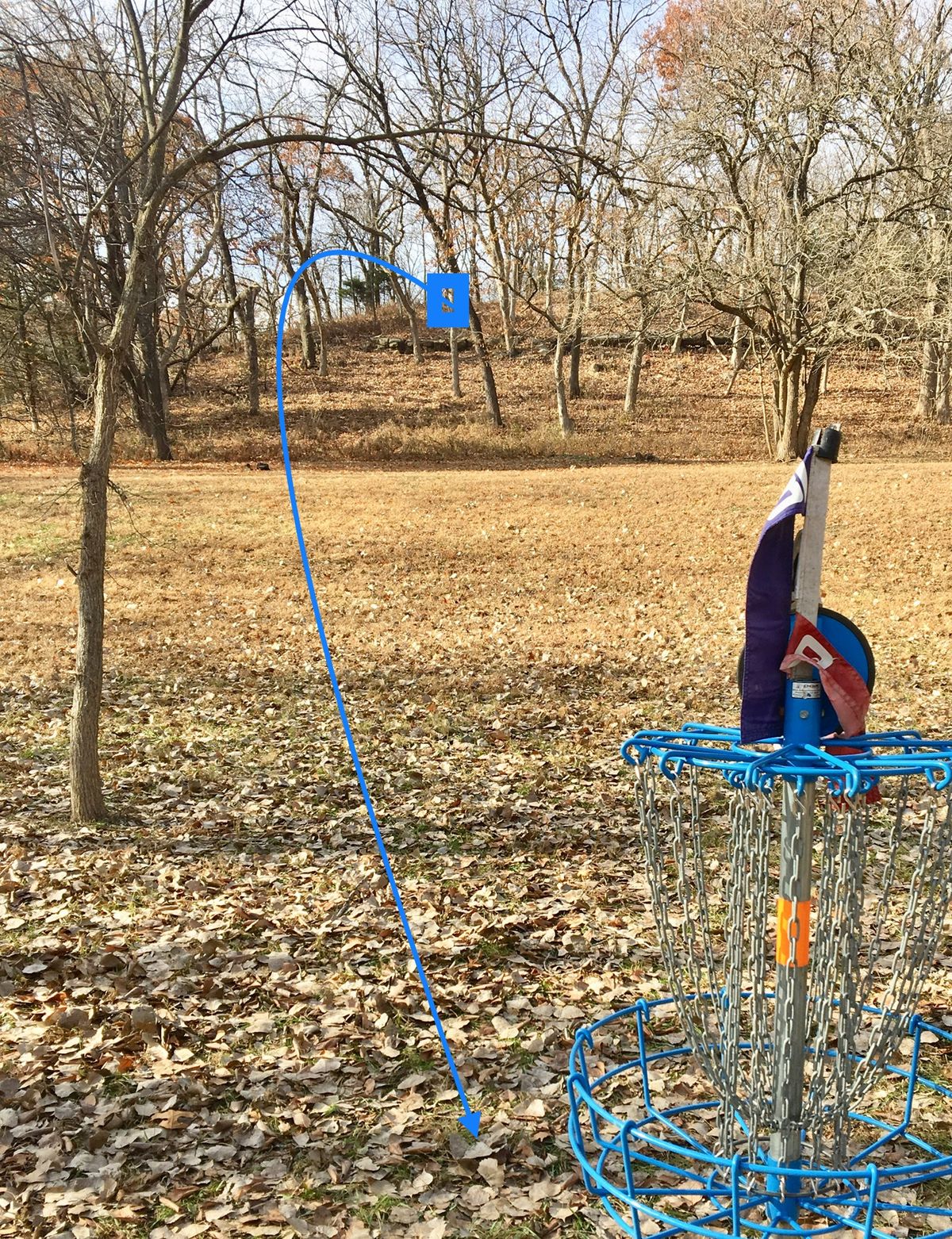 Hole 16 Basket to Tee