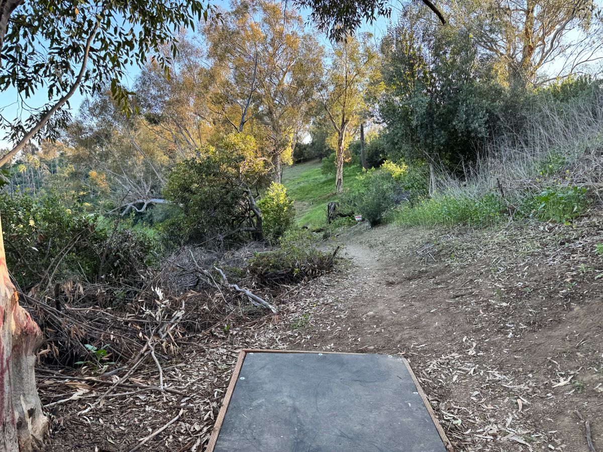 7 tee box
