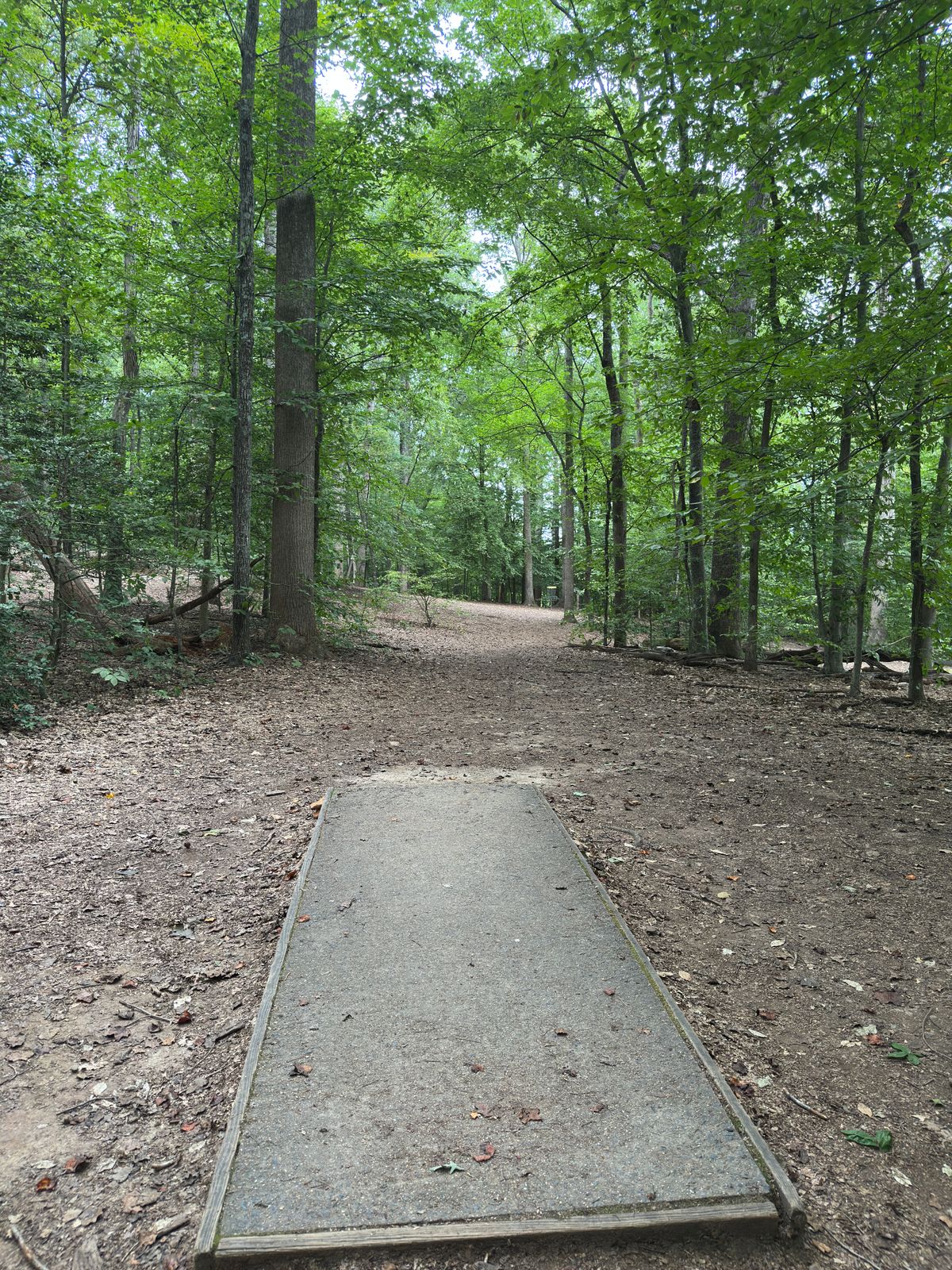Hole 4 red tee