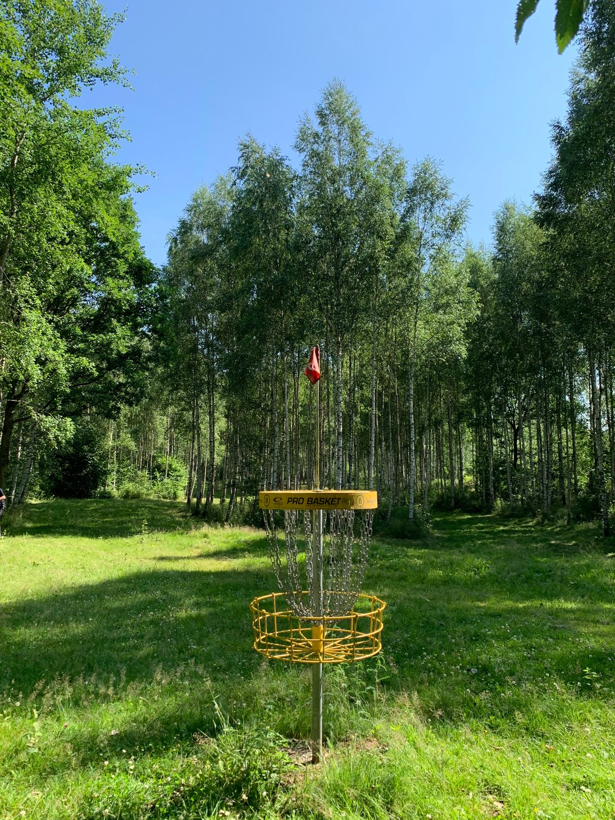 Hole 8 from basket