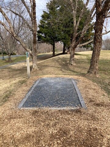 Hole 5 tee