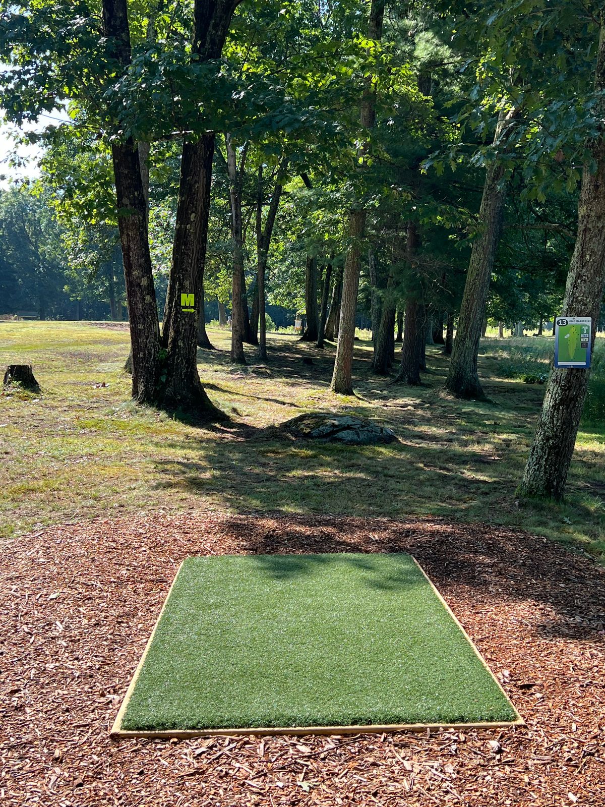 Hole 13 Tee