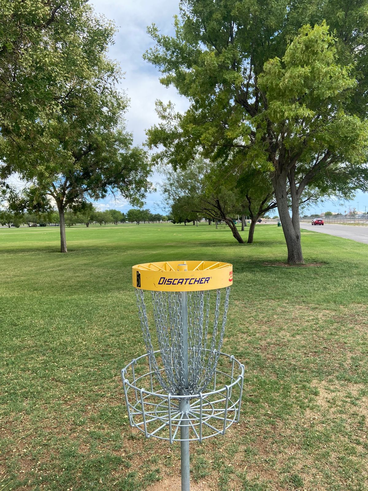 Hole 5 from basket