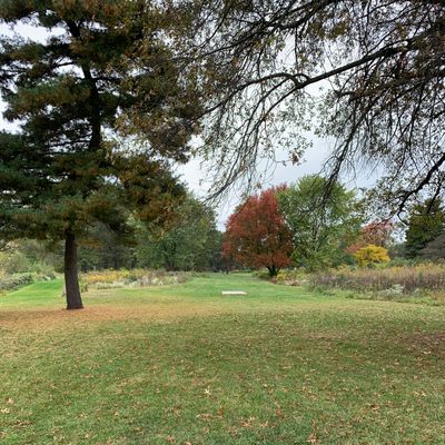 Hole 13 Blue Tee