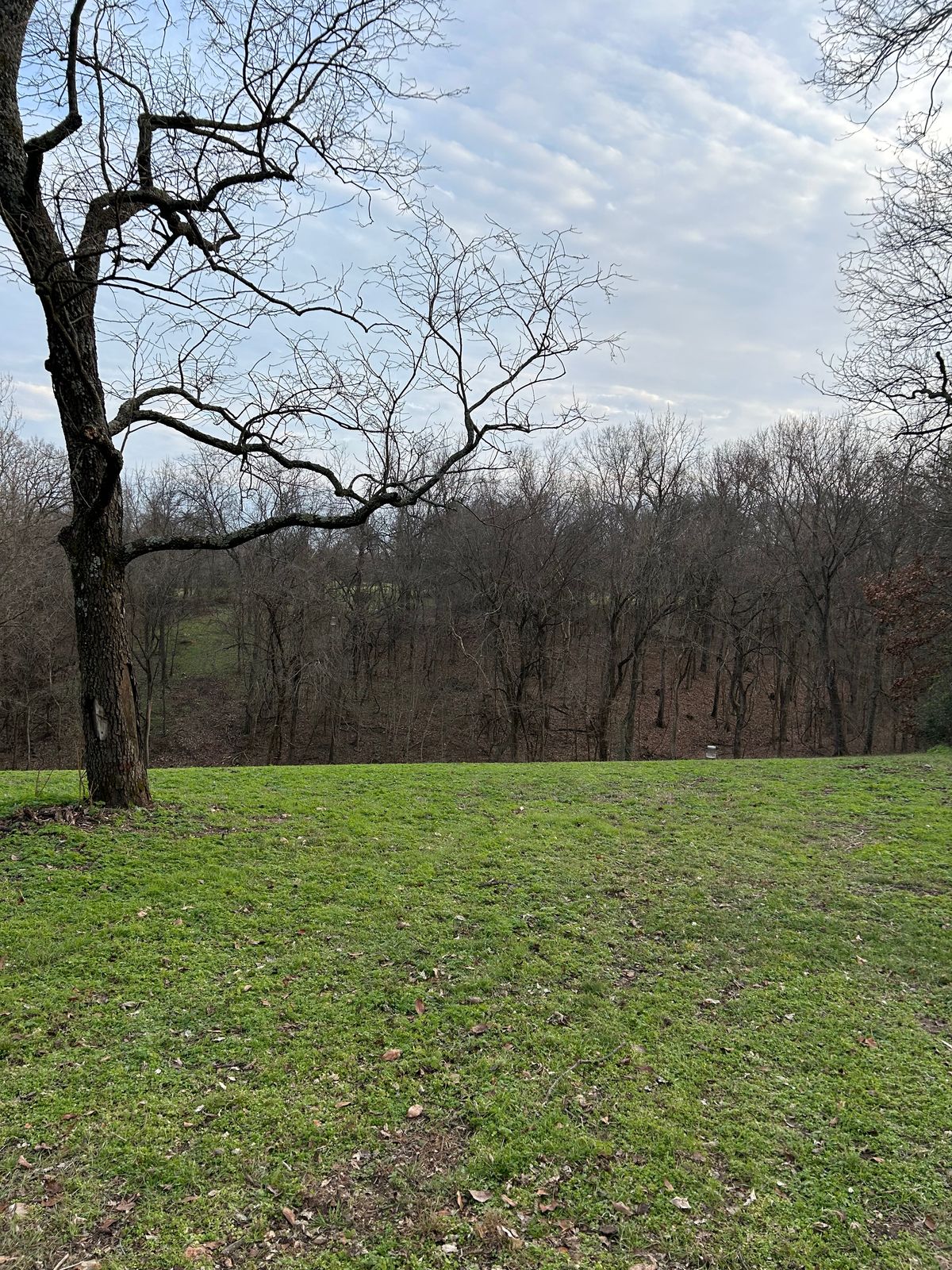 View from teepad on hole 1