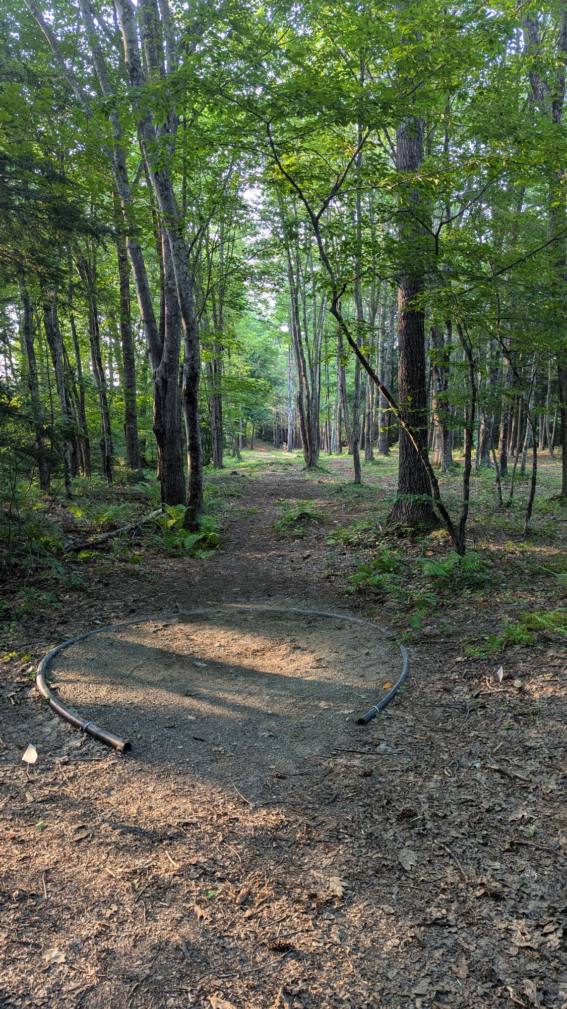 Hole 17 | C pad, about 430' from pin