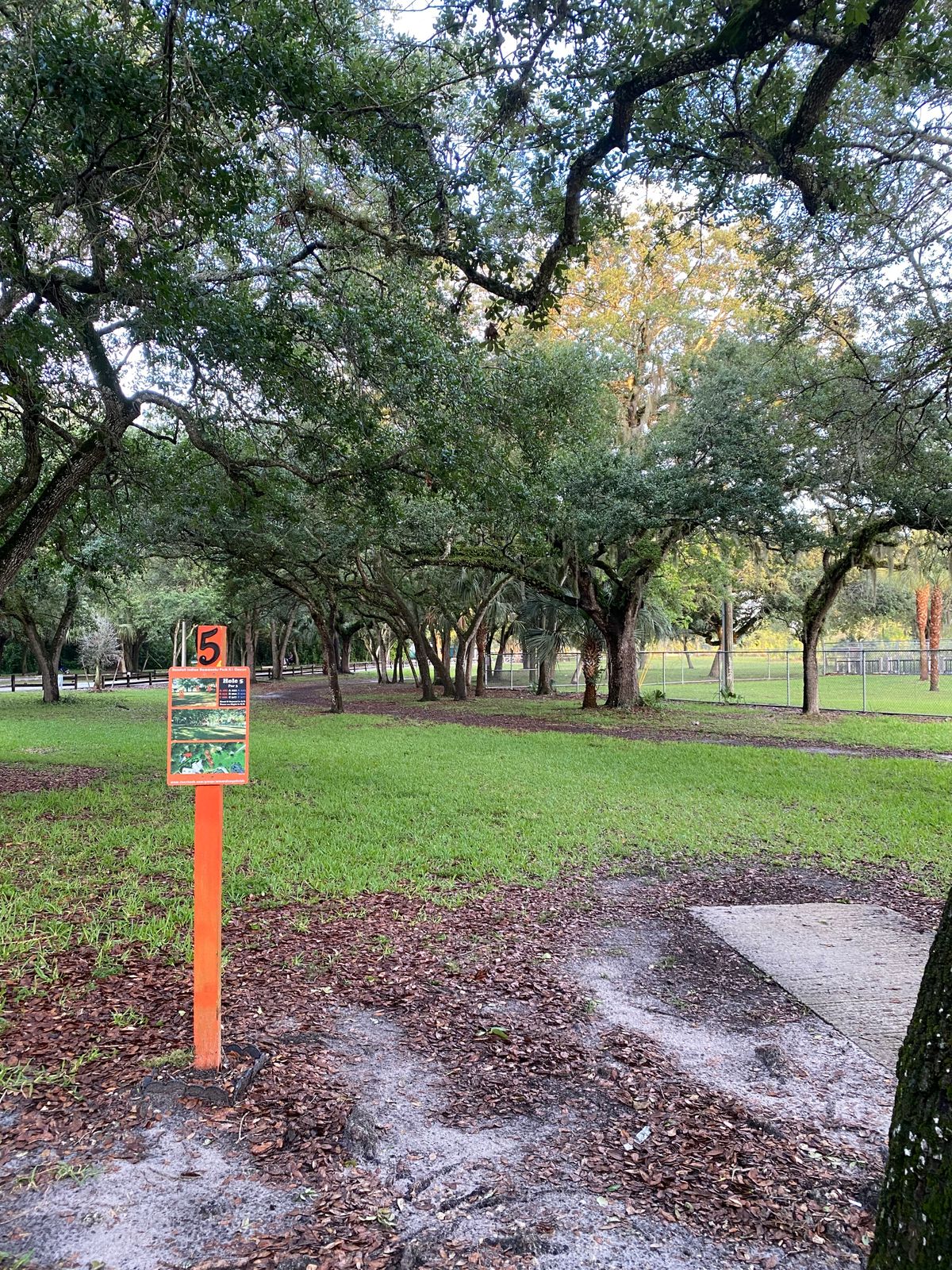 Hole 5 tee pad. Basket straight and up to the right on other side of fence.