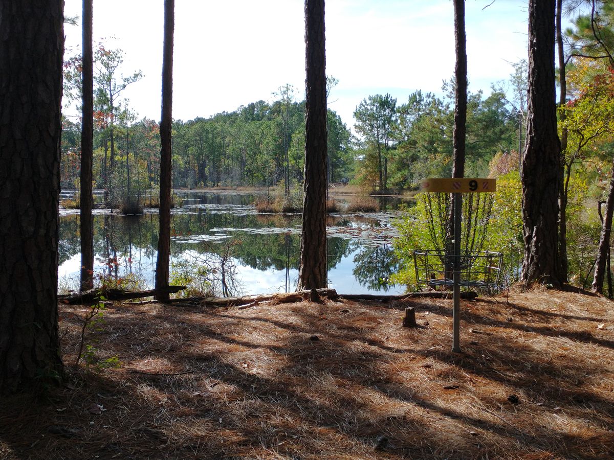 Hole nine. A good view of the pond.