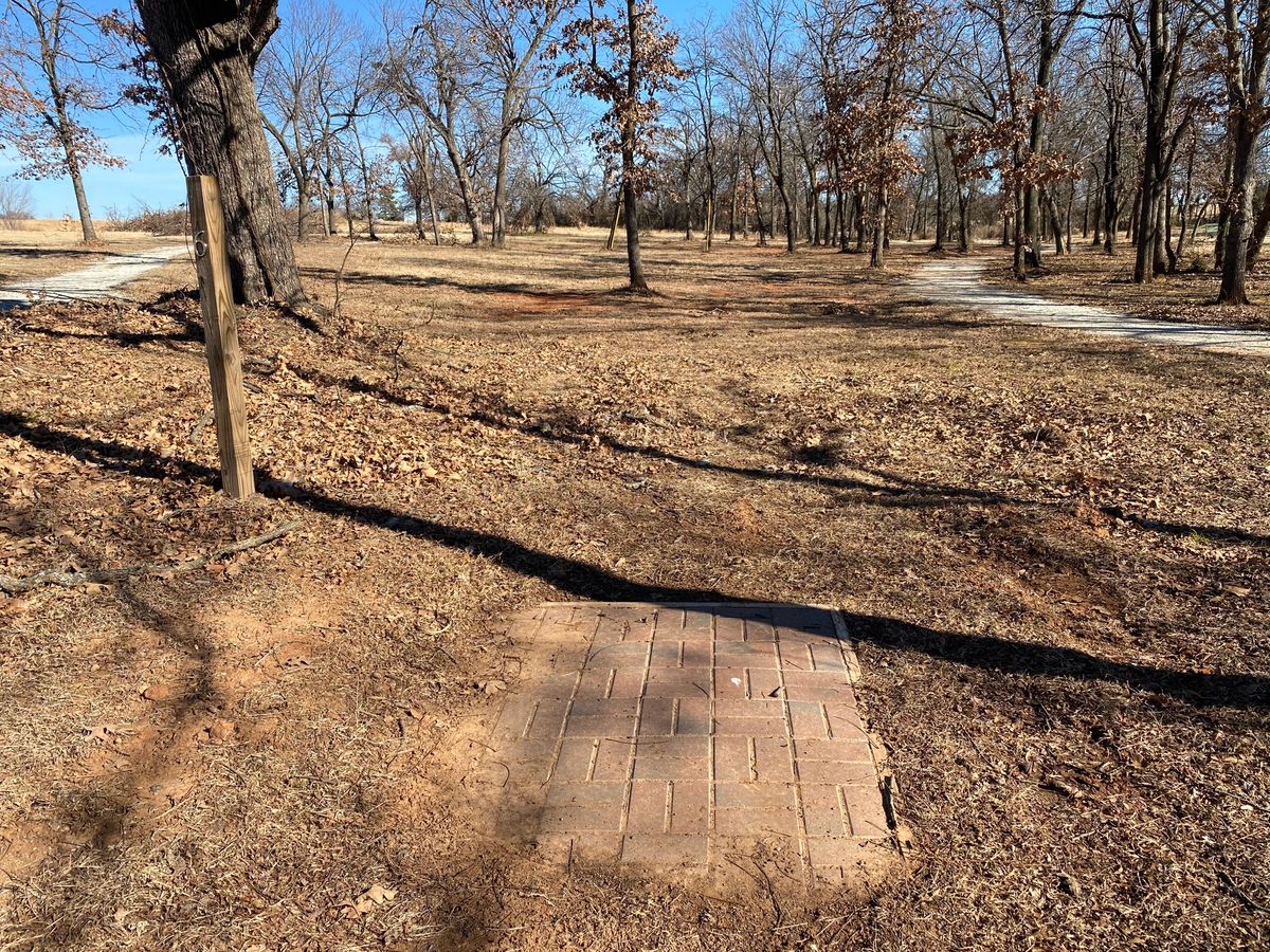Tee Pad #6 , Mando through yellow poles.
