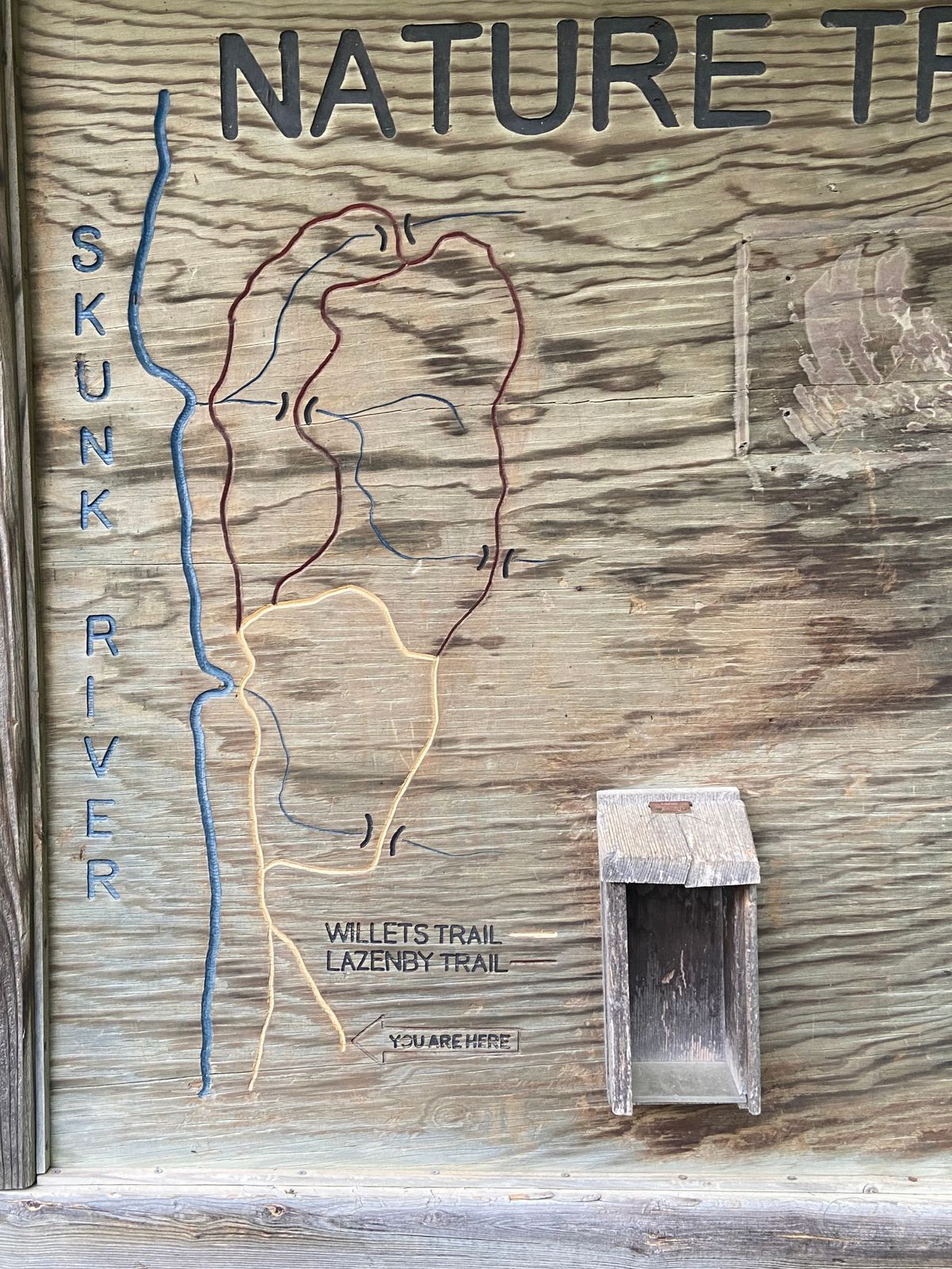 Course map