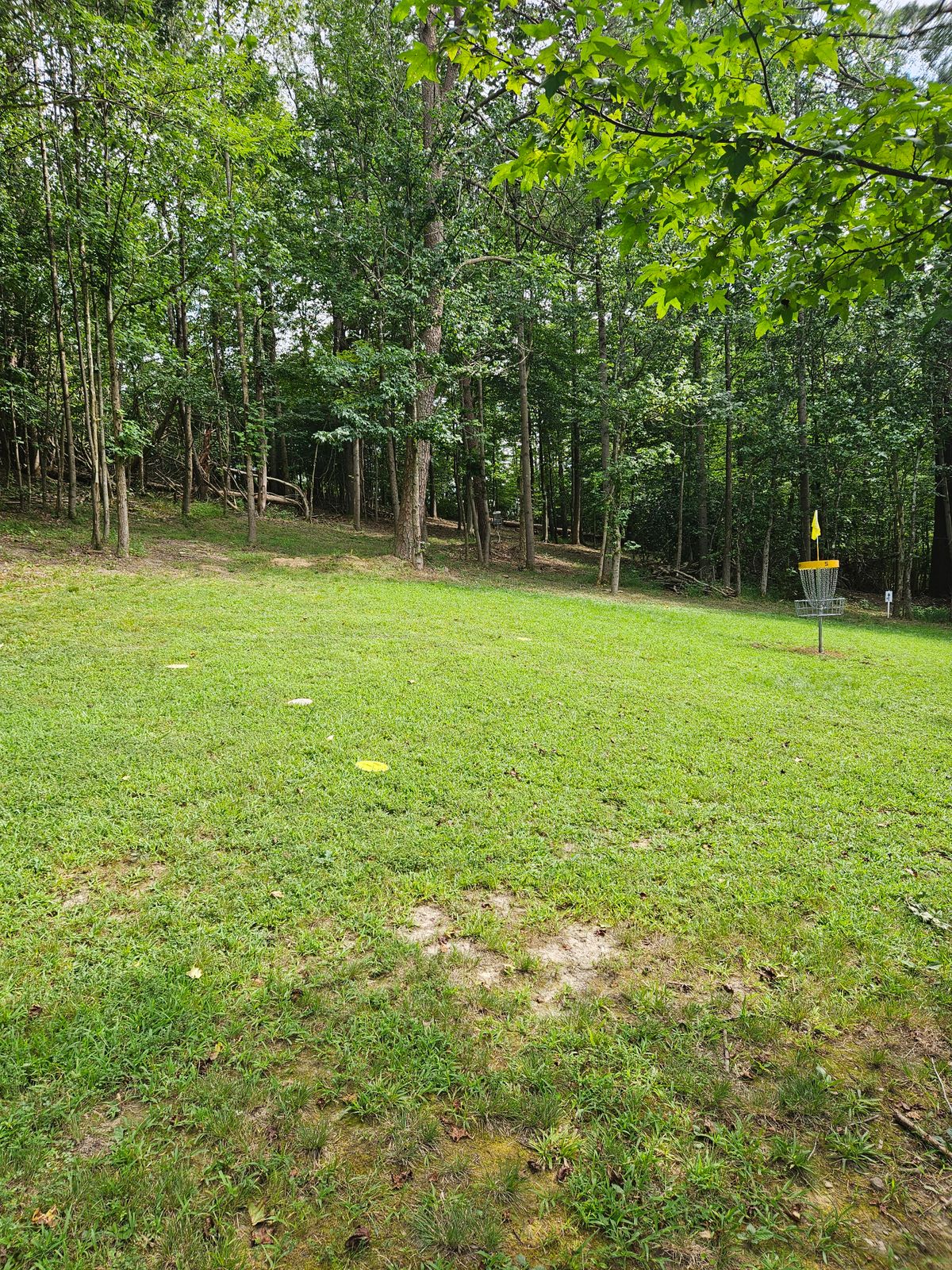 Hole 5 Short Basket. Long Basket is Straight.