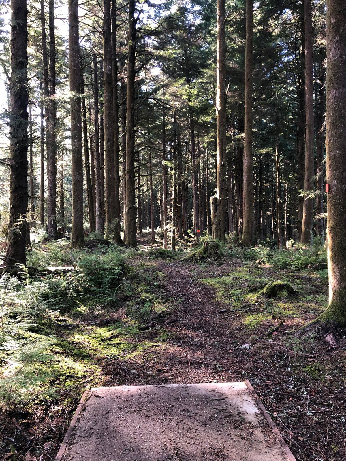 Hole 6.