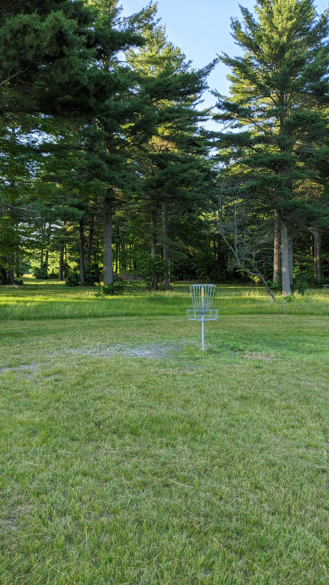 Hole 8