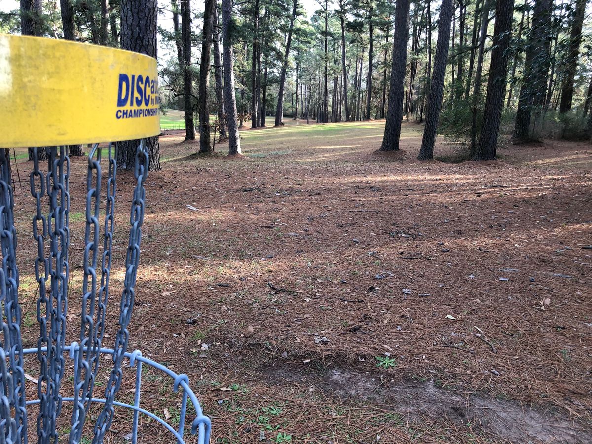 Hole 5 Basket