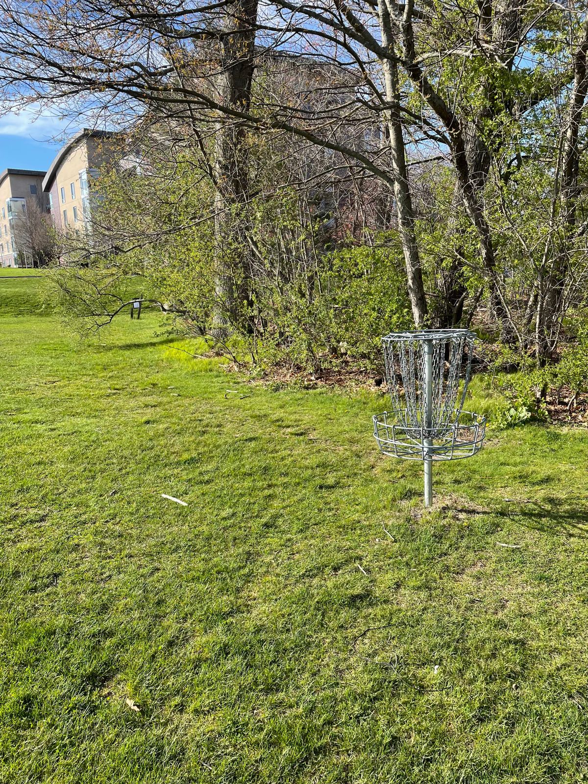 Basket of Hole 6