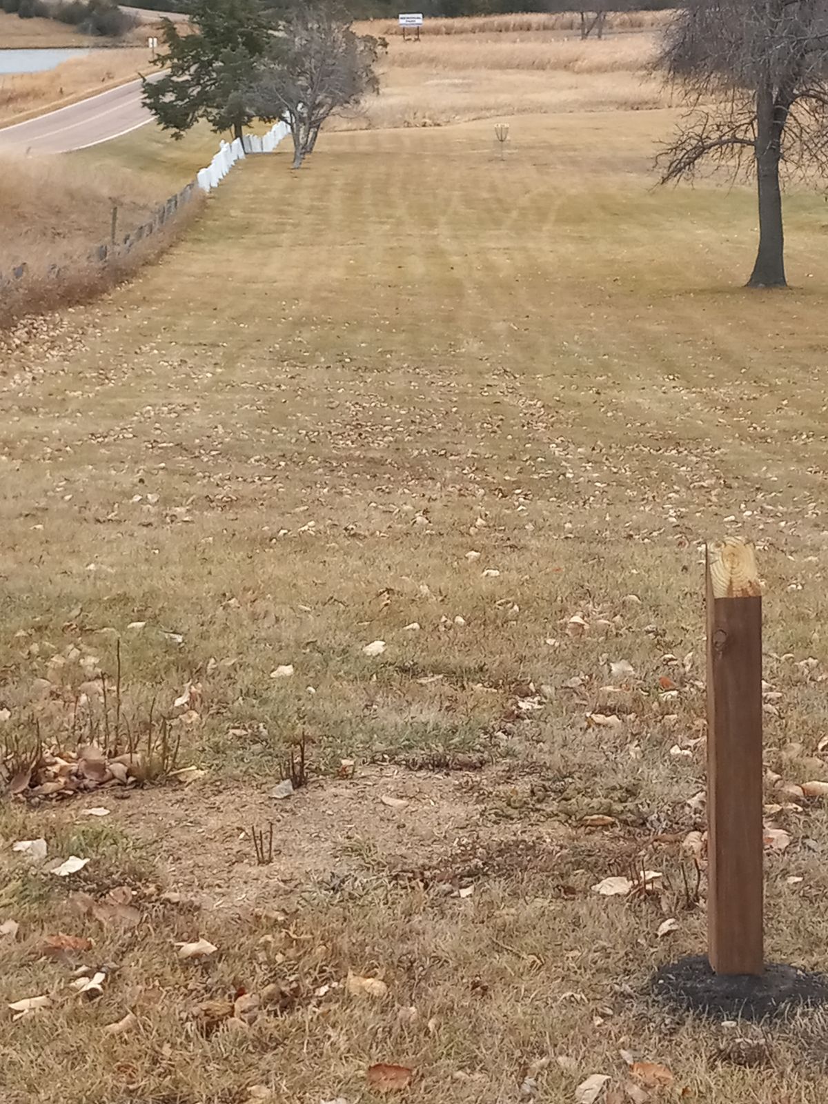 Hole 8 has 2 pin locations when the water level is high it will be in this short position the long he to the right of the end of the tree line