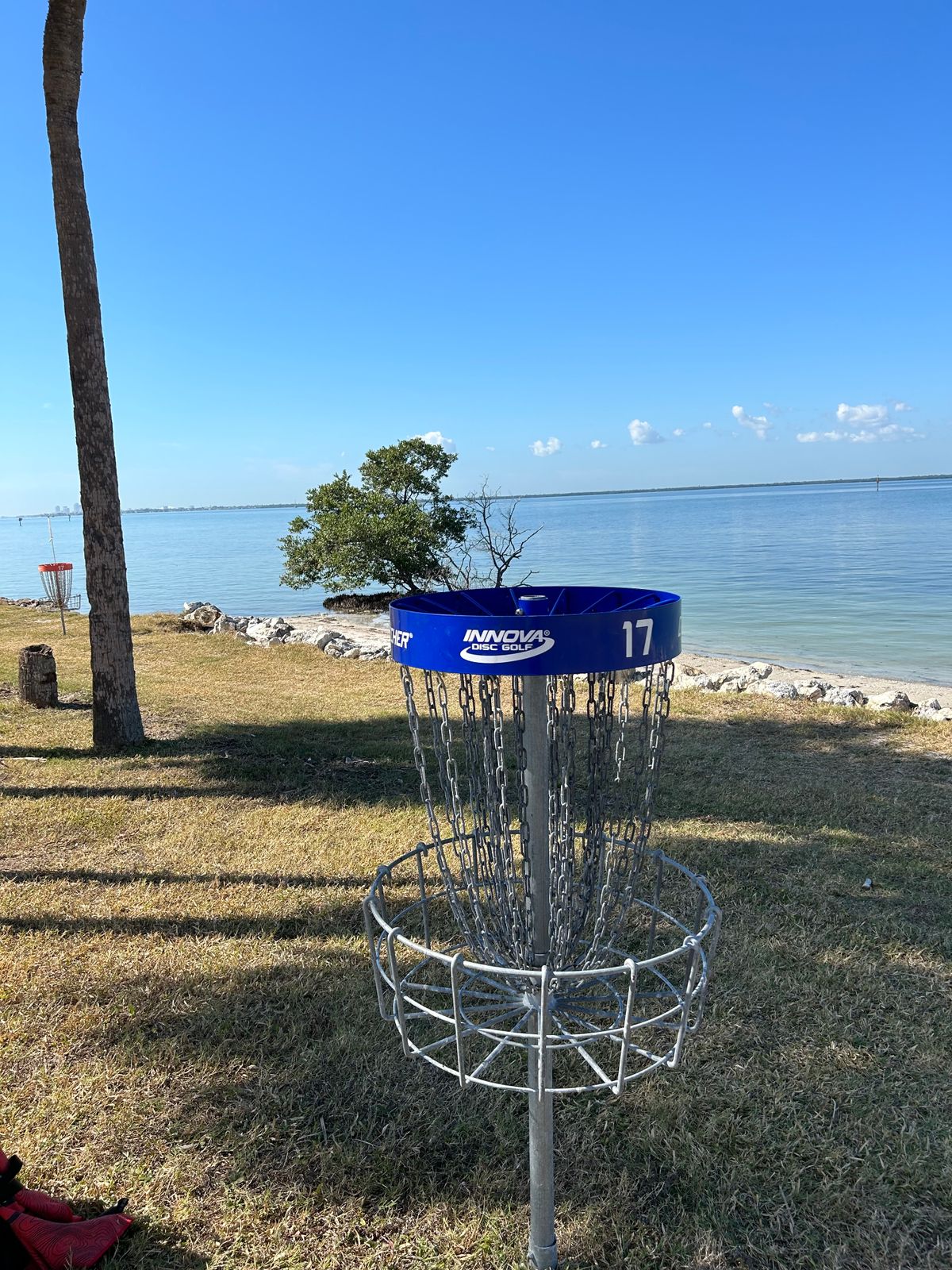 Hole 17 Blue Pin