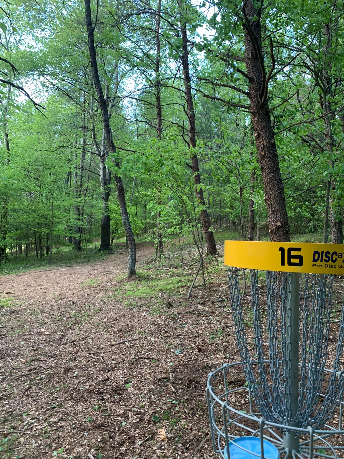 Basket Hole #16