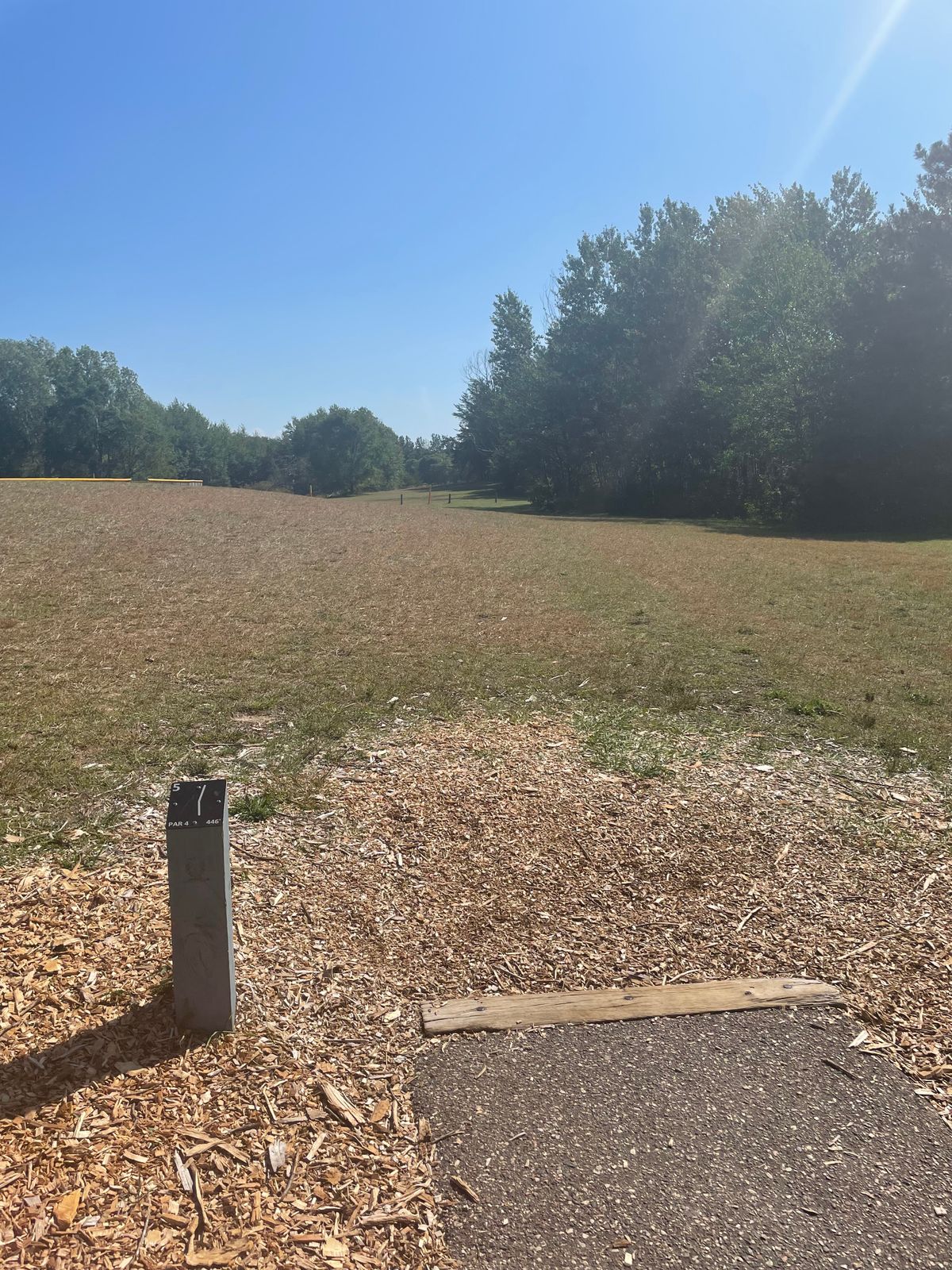 Hole 5 short tee
