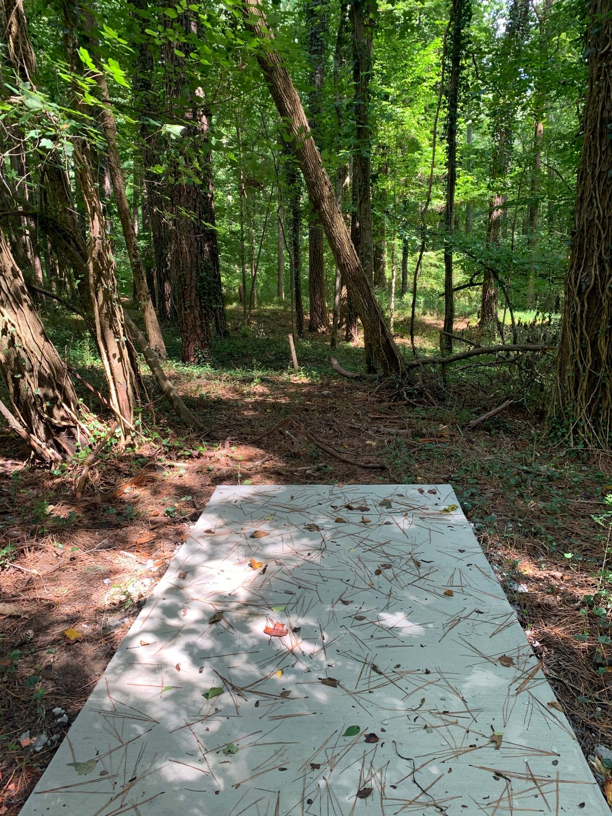 Hole #6