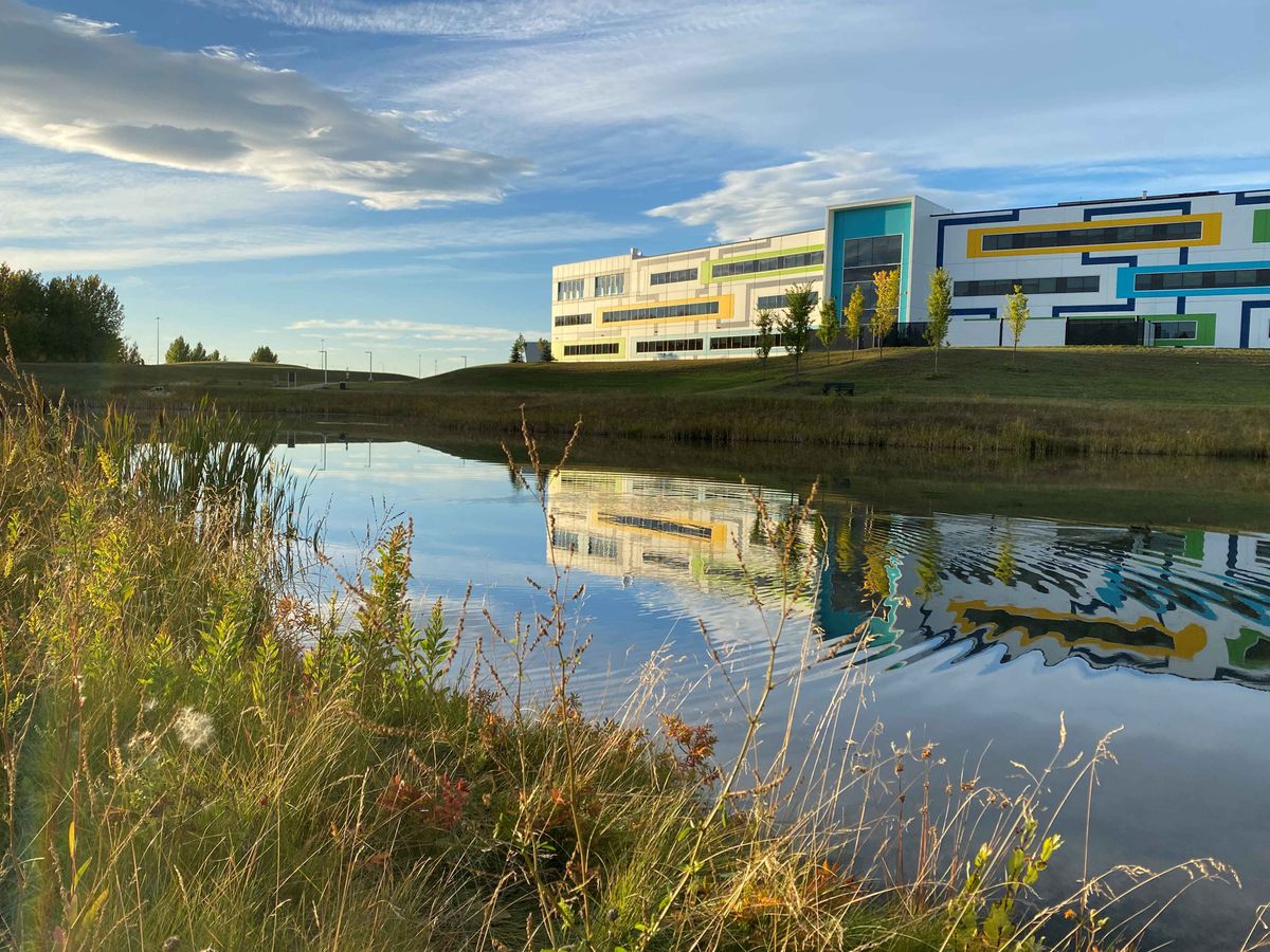 Near the tee off box for Hole 7 looking north west.