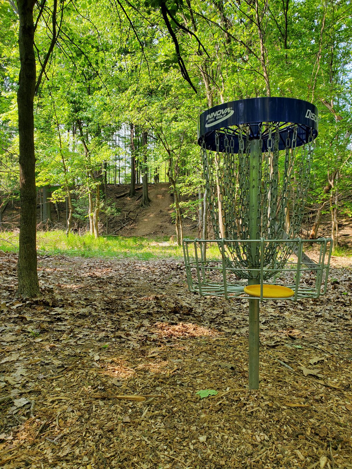 Basket to tee.