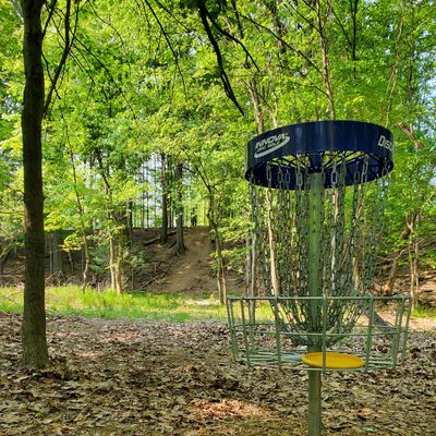 Basket to tee.