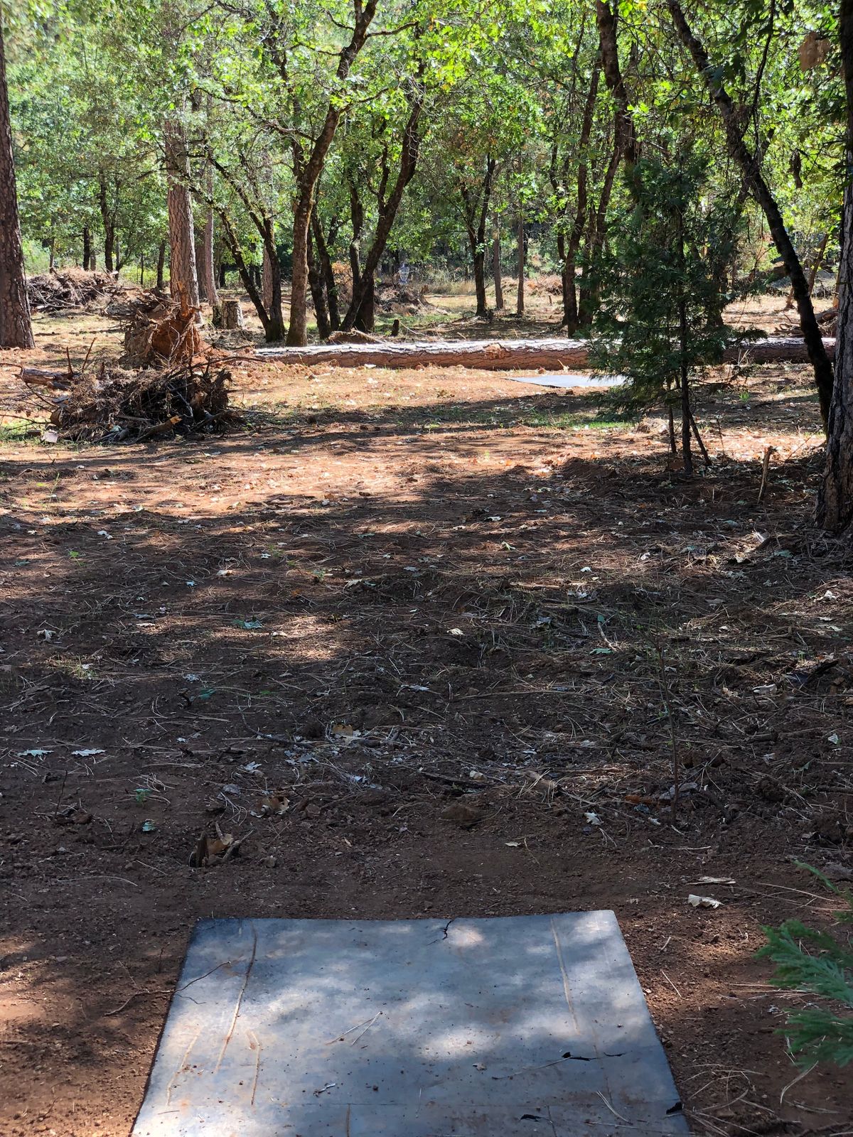 Tee 11