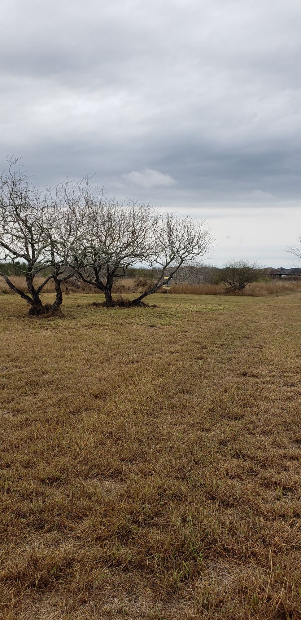 Hole 6 fairway