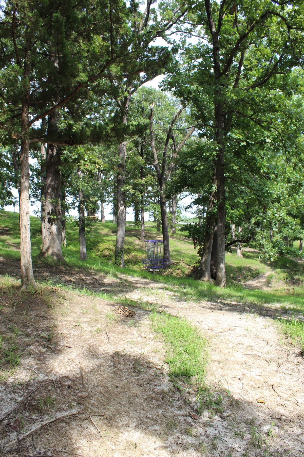 Hole 14 (Circle 1)