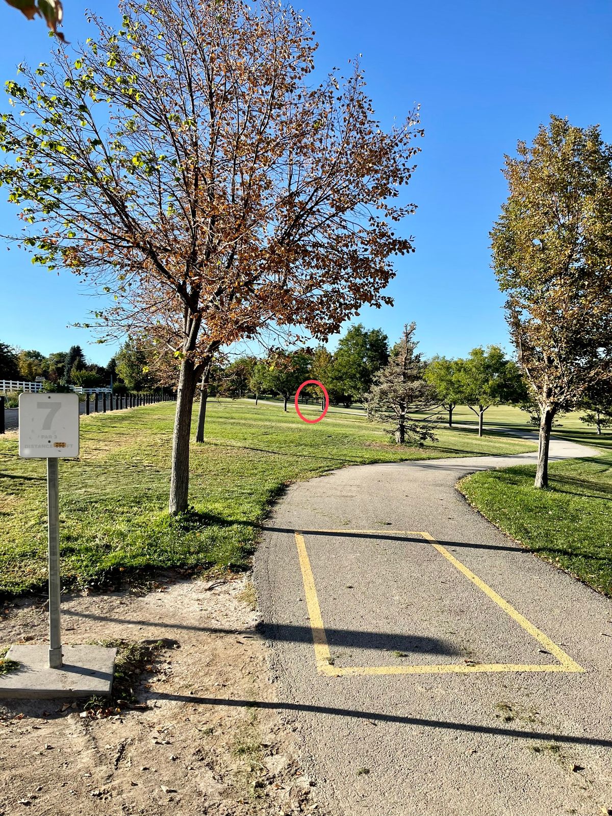 Hole 7 Long Basket