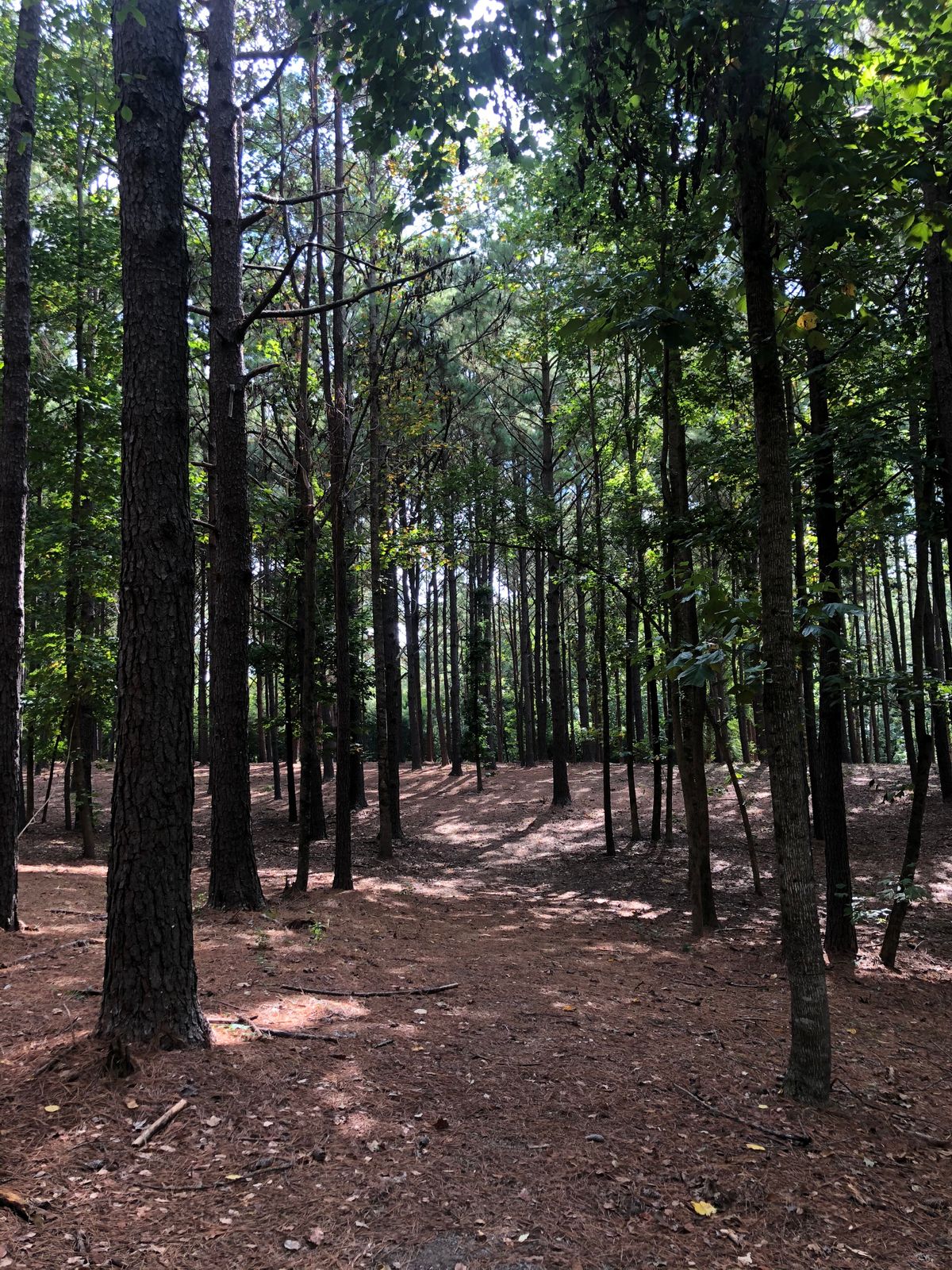 Hole 16