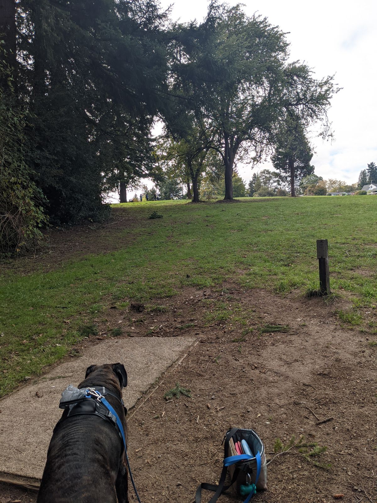 Hole 12 short tee box