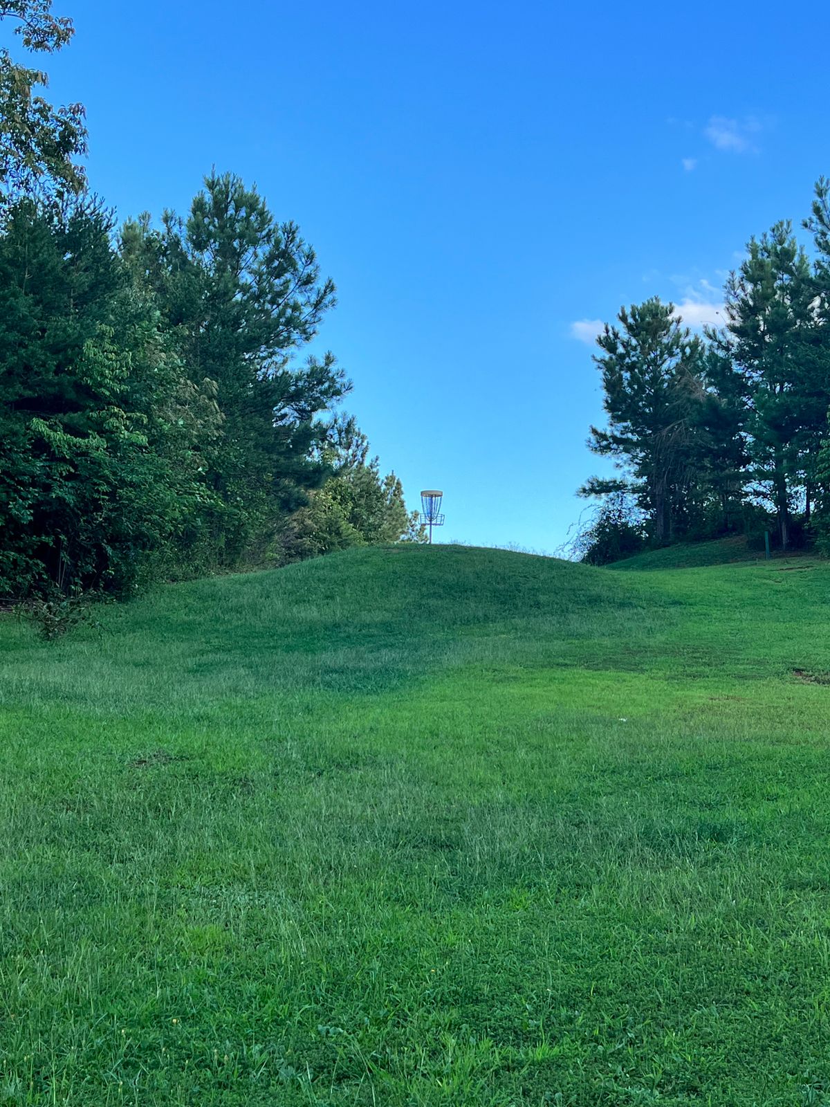 Hole 12 green from the back