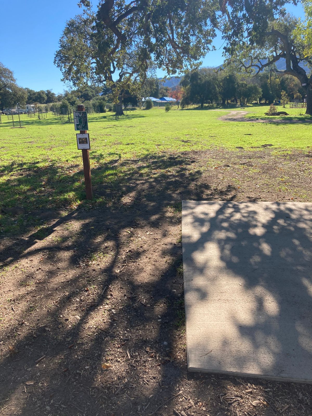 Hole 3