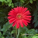 User avatar image