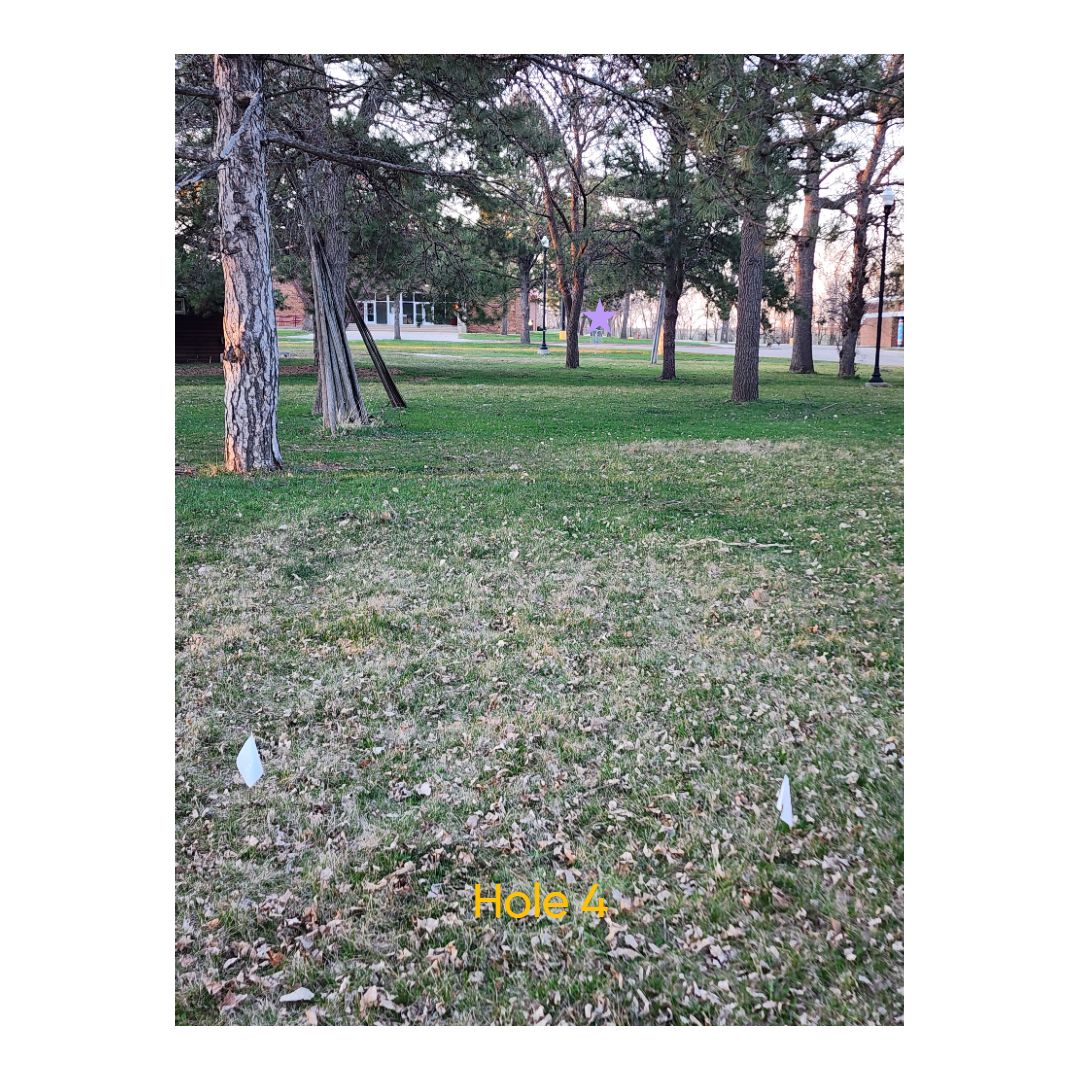 Hole 4